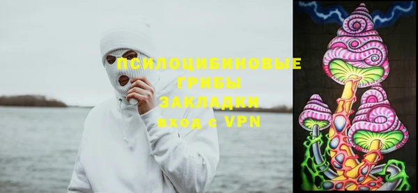 индика Баксан