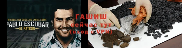 индика Баксан