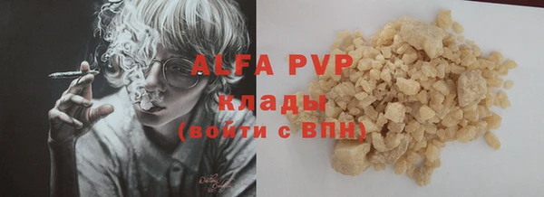 индика Баксан