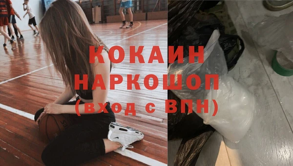 индика Баксан