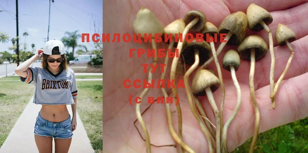 прущие крисы Балабаново